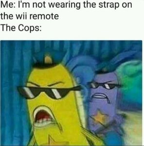 Meet your Posher, Francis